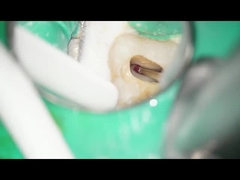 Dental RA Burs Tungsten Carbide Burs Dental Use Low Speed